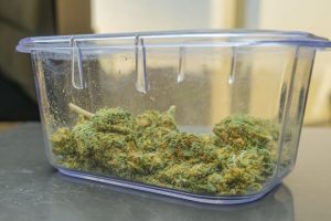 Splg5dvrsphnkknbl2m8