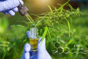 Quels sont les bienfaits de l'huile de cbd sur la sant&eacute; ?